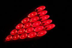 0305 NISSAN 350Z LED TAILLIGHTS LED BLACK DRIVER/PASSENGER - Black Patch Performance - ANZO321099