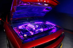 ORL Engine Bay Light Kits - Lights from Black Patch Performance