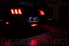 0adefb2eacbd059fea0ff6d7e0b79bc9.jpg