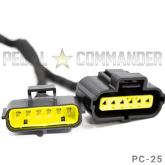 PDL Throttle Controller - Programmers & Chips from Black Patch Performance