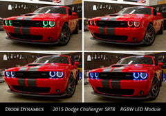 1fc7e222c953e056adf1852bc4933ce6.jpg