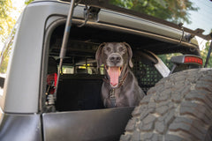DV8 MPBR-10 2021-2024 Ford Bronco - Dog Barrier