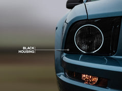 84210795d52013f60f46208214ce43d3.jpg