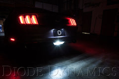 a9e9a2ad642ecb9ff645087742c6a06a.jpg