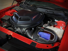 b022697f5c733028ded74c72901e18a1.jpg