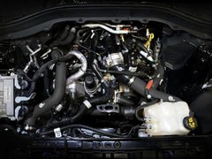 e23b4cad2d0db747dfdfc832c0ff4ead.jpg