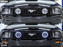 f51a151957c2fdbbb5b70c5c342de9ed.jpg