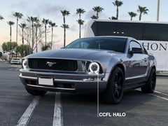 fcc45feb6307ce202769f550f458f640.jpg