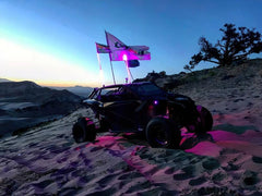 ORL Underbody Rock Lights - Black Patch Performance - ORAC5819333