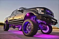 ORL Underbody Rock Lights - Black Patch Performance - ORAC5819333