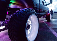 ORL Underbody Rock Lights - Black Patch Performance - ORAC5819333