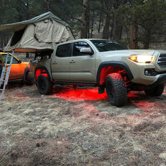 ORL Underbody Rock Lights - Black Patch Performance - ORAC5819333