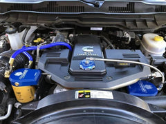 SIN External Oil Filter System - Oils & Oil Filters from Black Patch Performance