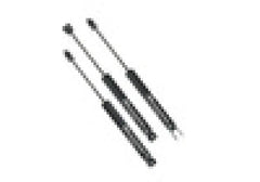 SLF Shocks - Black Patch Performance - SUPE87140