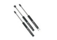 SLF Shocks - Black Patch Performance - SUPE87280